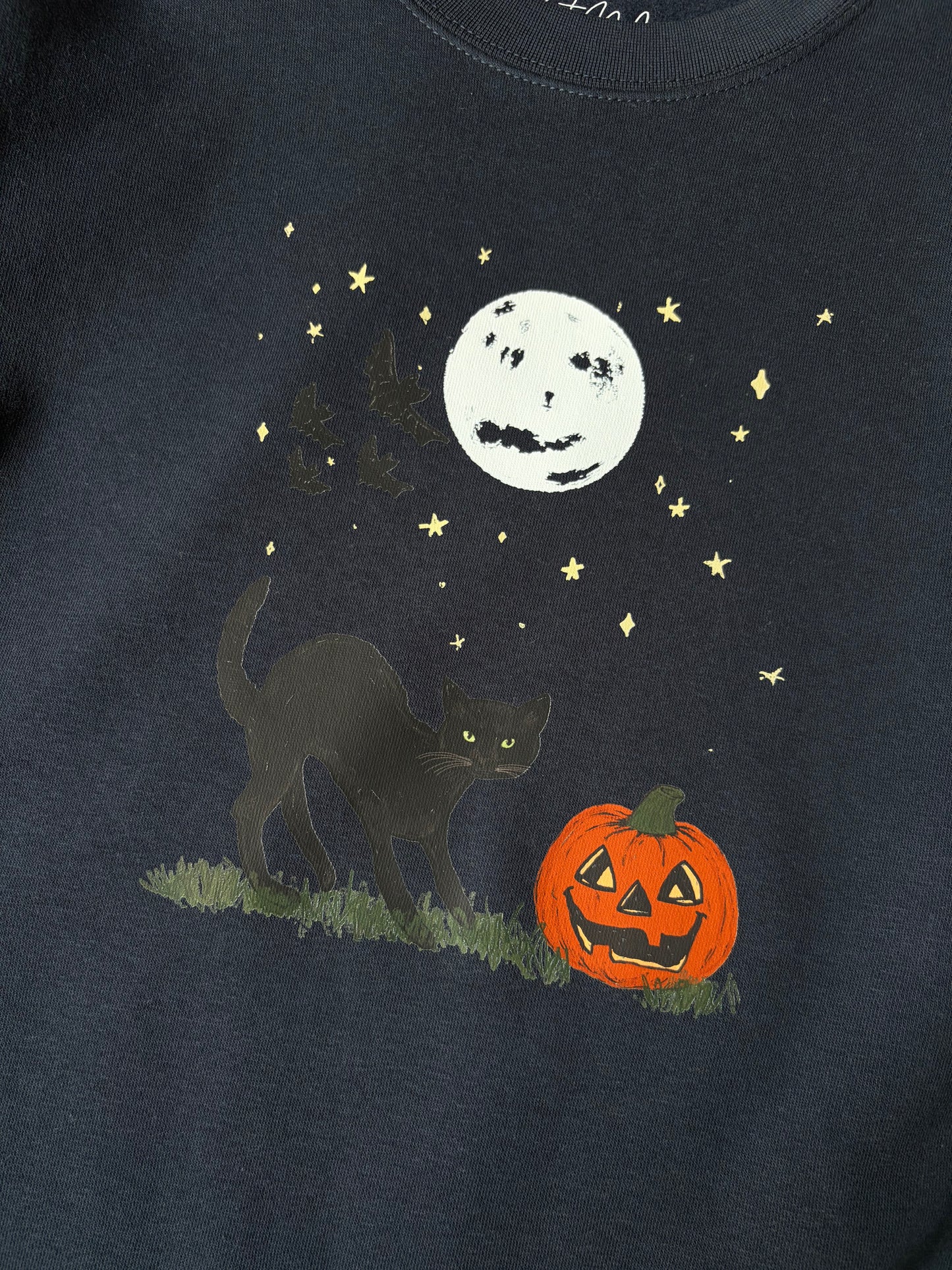 Autumn After Dark Adult Navy Sweatshirt
