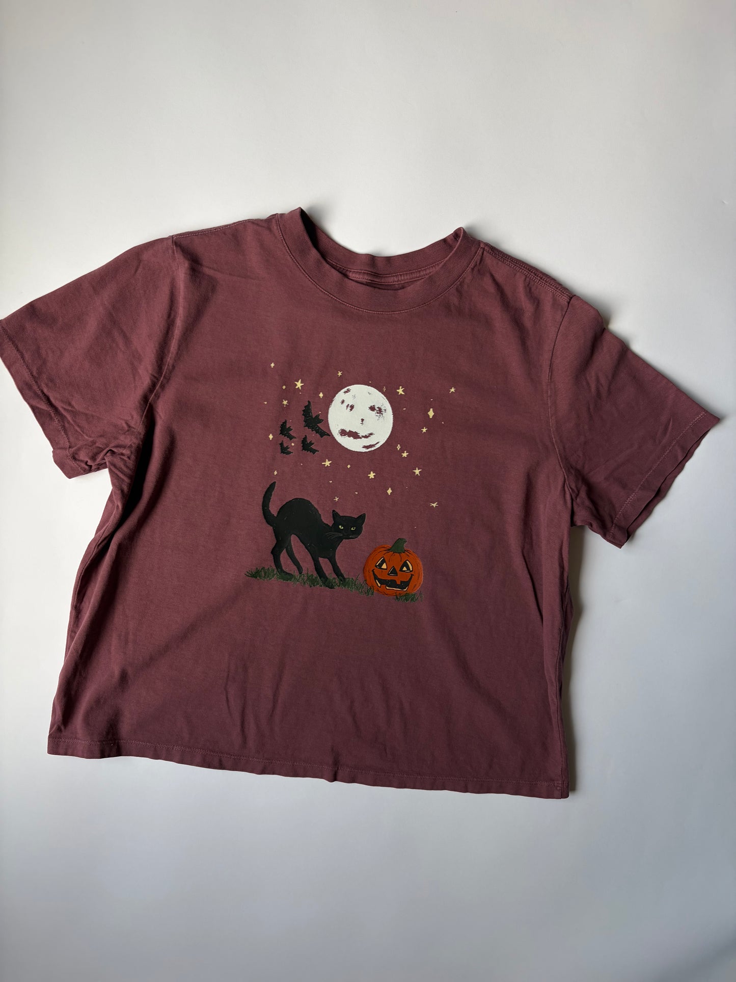 Autumn After Dark Adult Washed Maroon Short Sleeve Tee
